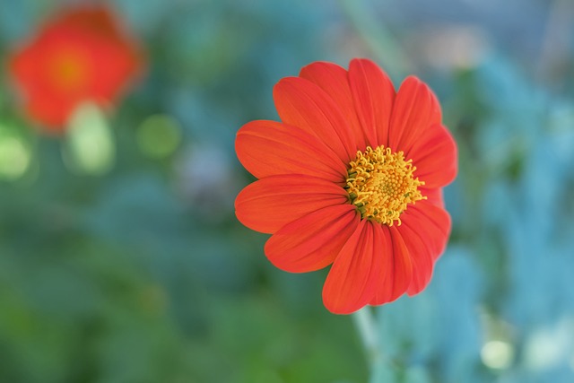 将在人们心 将在人们心