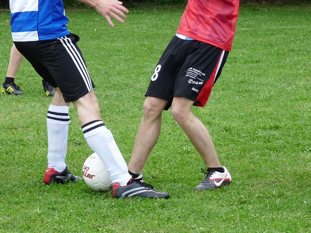 基础的运动 基础的运动