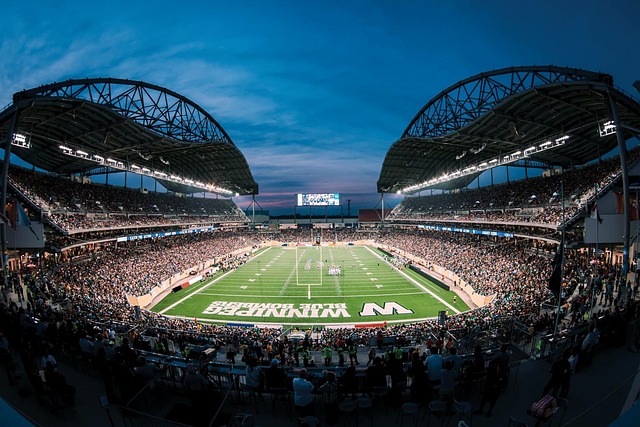 解了篮球比 解了篮球比