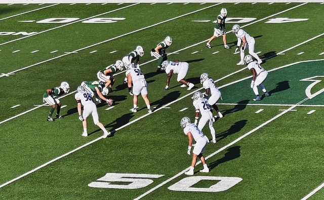 球迷们无疑 球迷们无疑