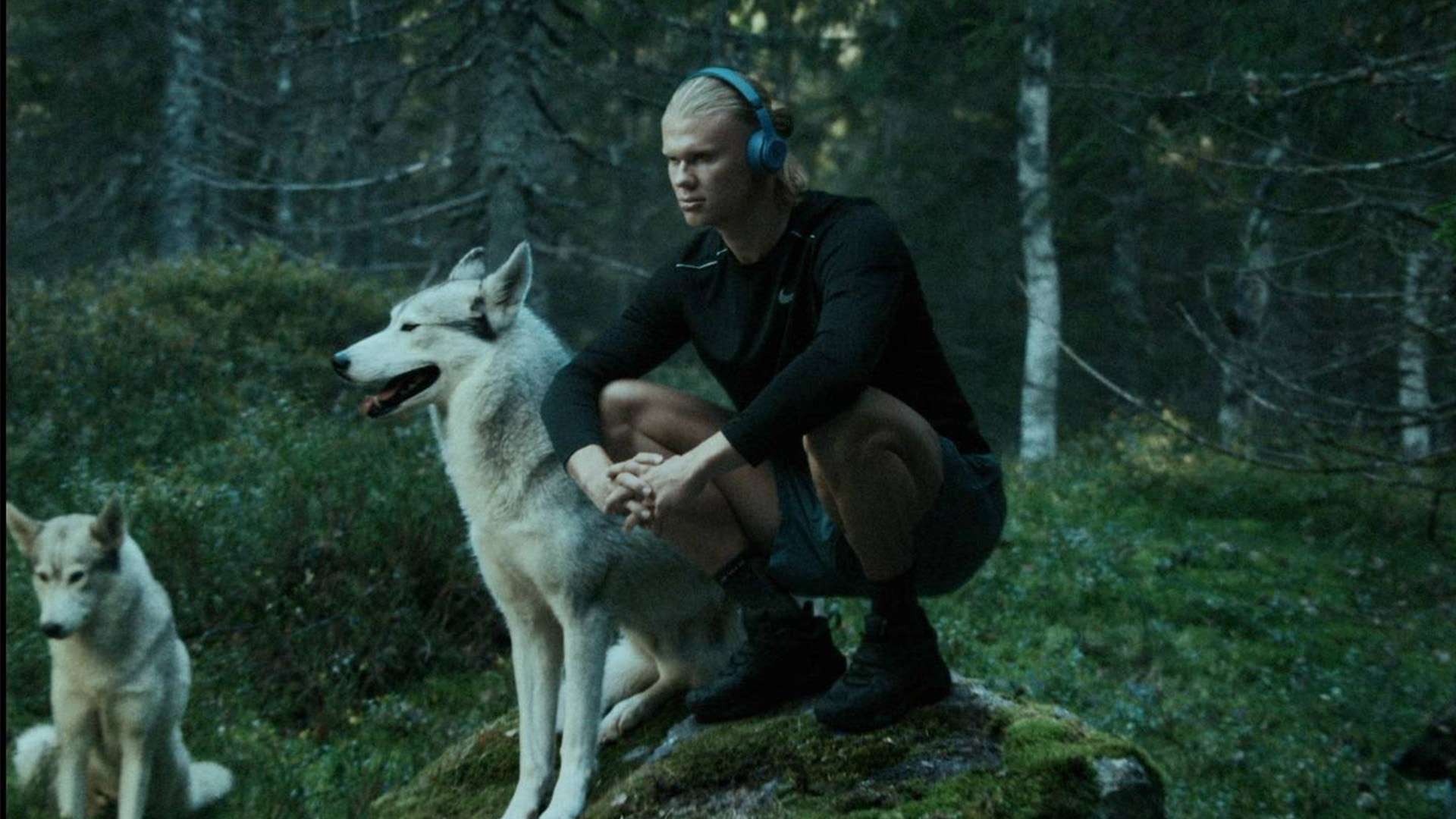 欧战资格的 欧战资格的